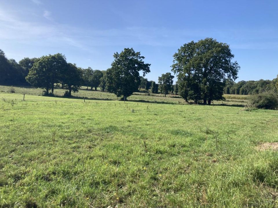 Landejendom i Mesnil-Roc'h, Ille-et-Vilaine - foto 4