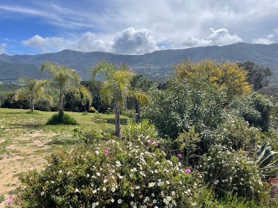 Villa i Calcatoggio, Corse-du-Sud - foto 1