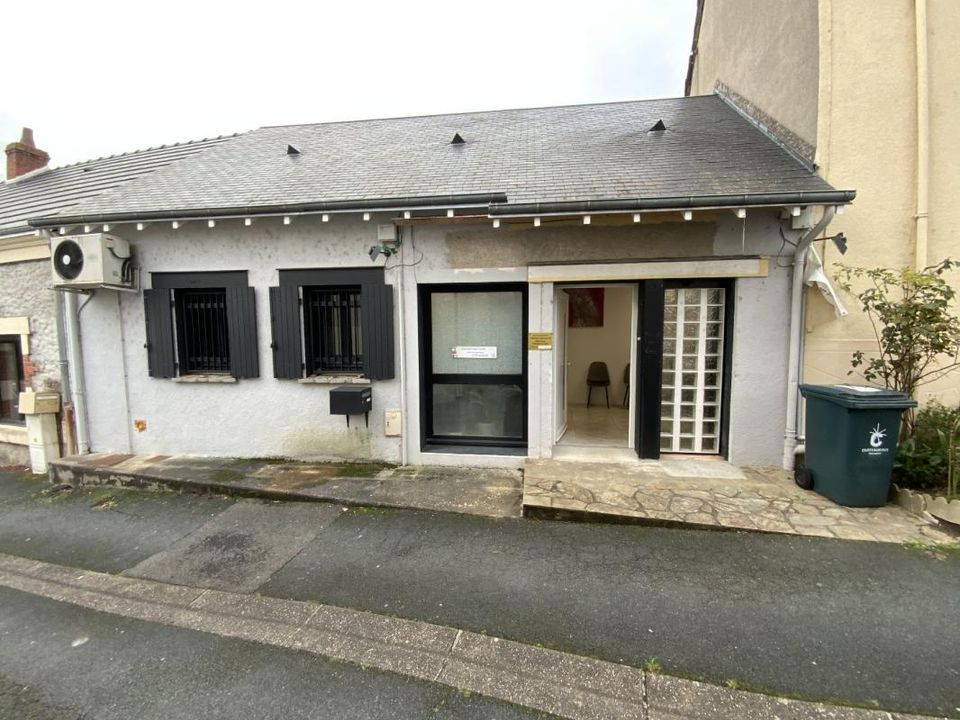 Erhvervsejendom i Saint-Maur, Indre - foto 1
