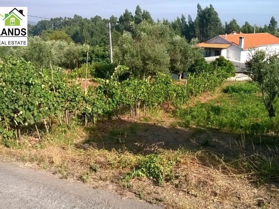 Villa a Arganil, Coimbra - foto 2