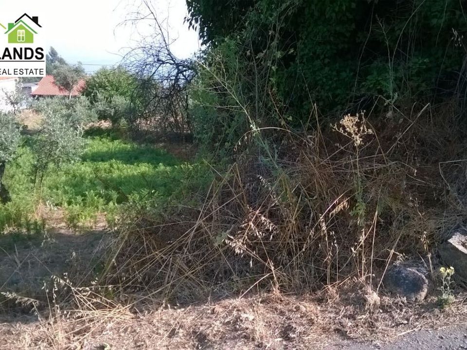 Villa a Arganil, Coimbra - foto 3