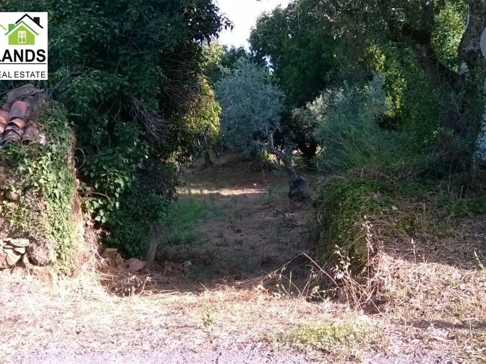 Villa a Arganil, Coimbra - foto 5