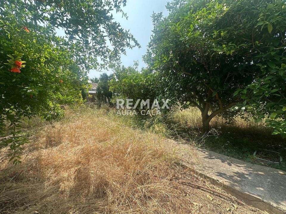 Finca i Palma De Mallorca, Mallorca - foto 3