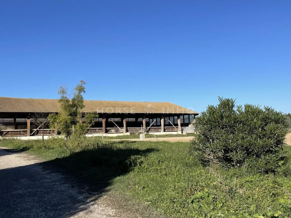 Villa i Nimes, Gard - foto 3