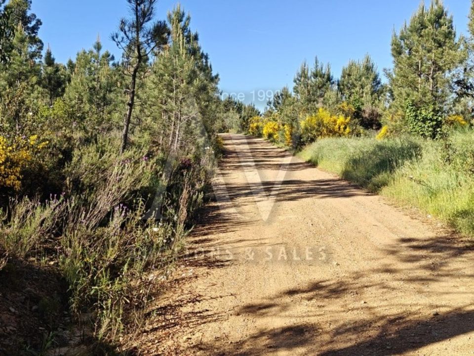 Helårsgrund i Silvares, Castelo Branco - foto 1