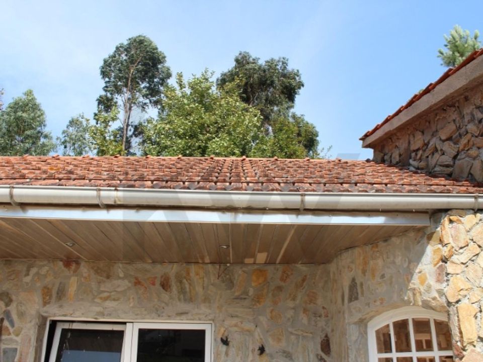 Terra a Carvalhais e Candal, Viseu - foto 2