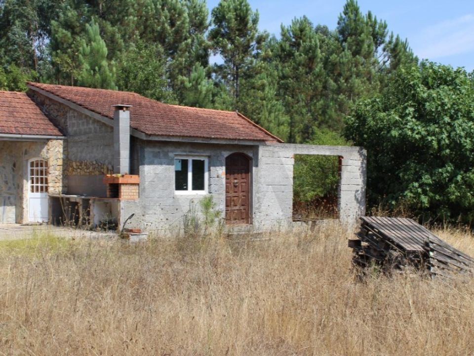 Terra a Carvalhais e Candal, Viseu - foto 4