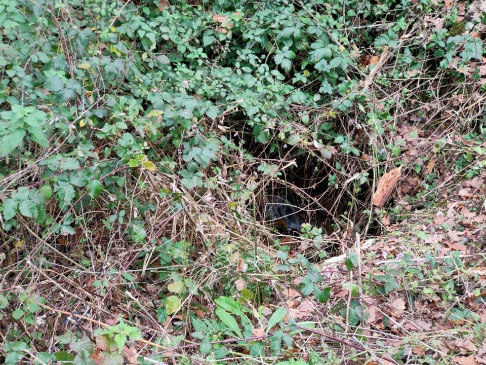 Helårsgrund i Altillac, Correze - foto 2