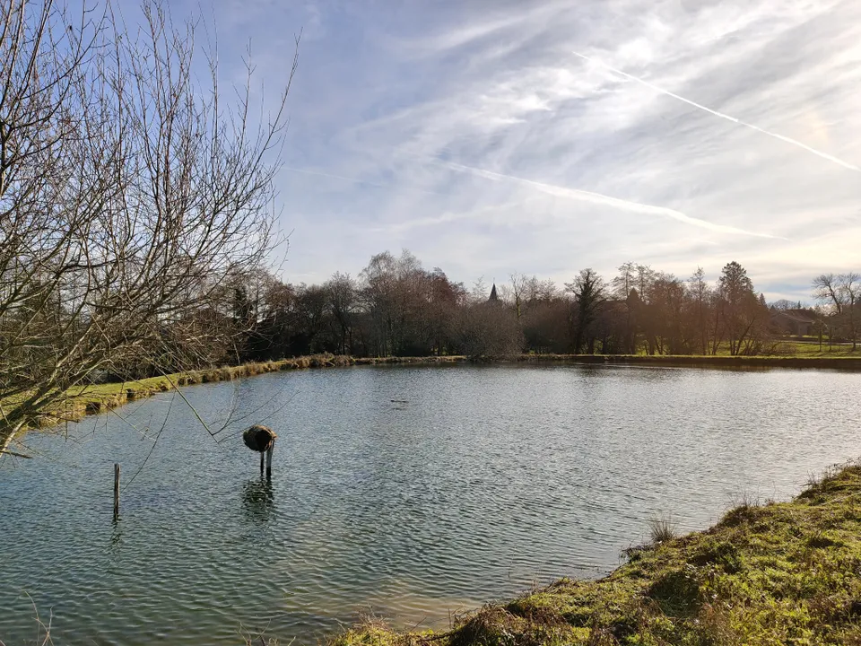 Villa a Piegut-Pluviers, Dordogne - foto 3