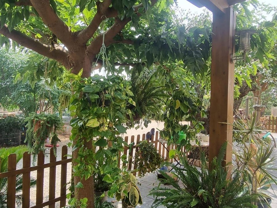 Herregård i Reus, Tarragona - bilde 1