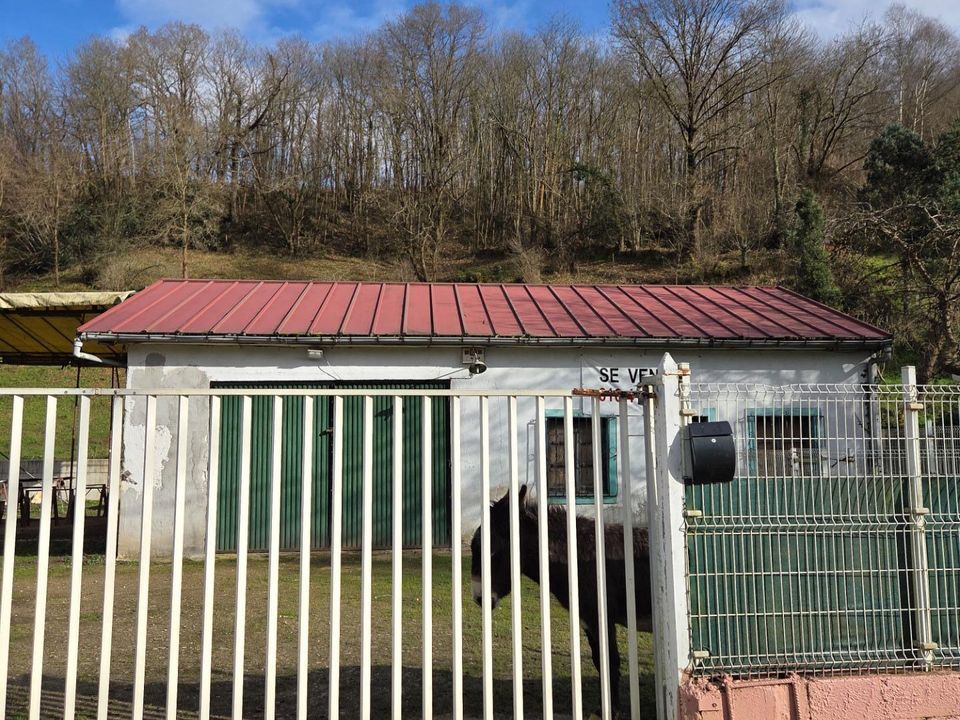 Helårsgrund i Villanueva (Pola De Siero), Asturias - foto 2