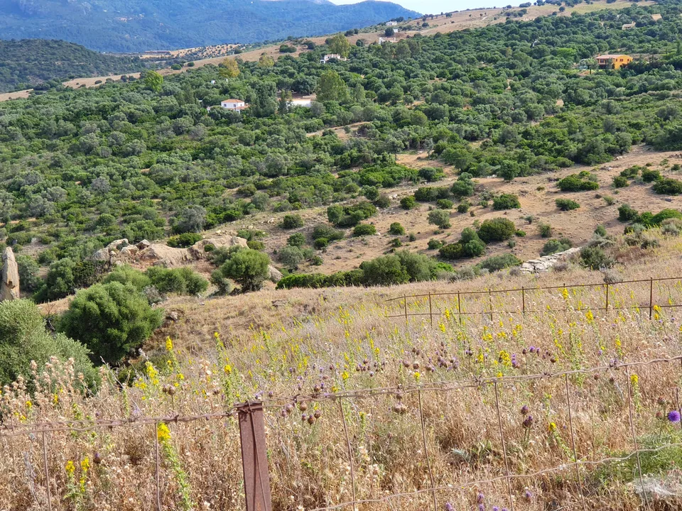 Helårsgrund i Casares, Malaga - foto 4