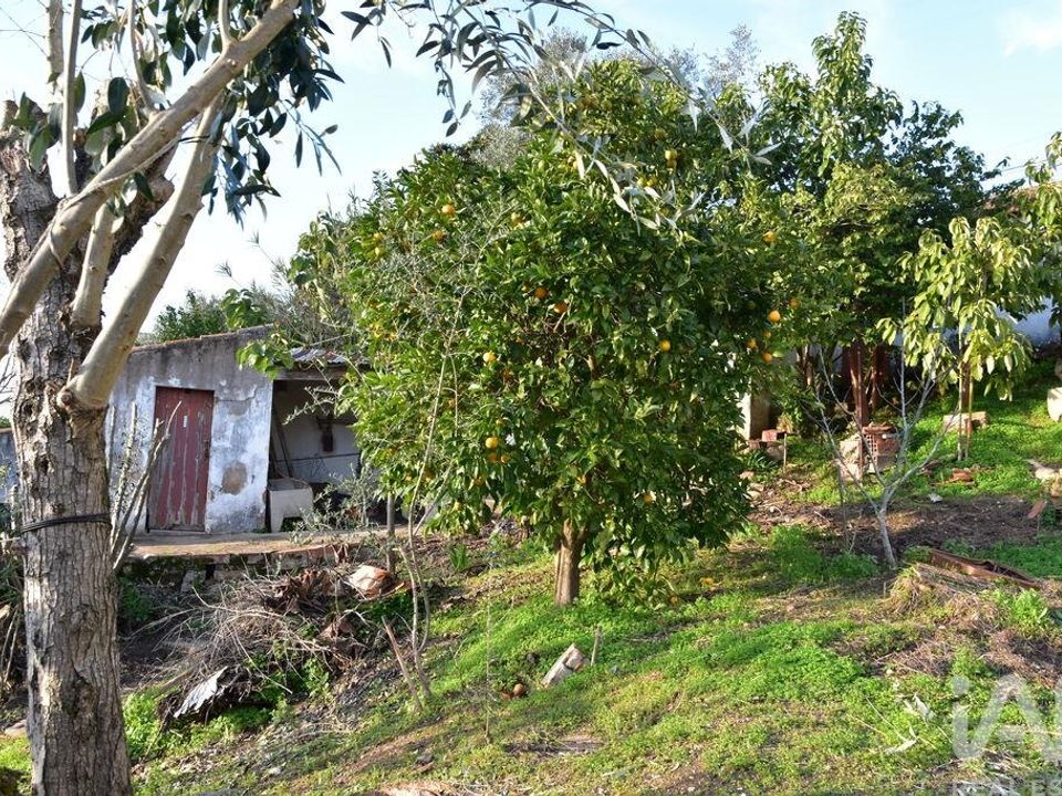 Dom szeregowy: Chamusca, Santarem – zdjęcie 2