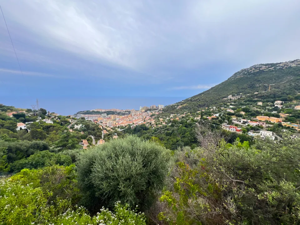 Villa i Beausoleil, Alpes-Maritimes - foto 4