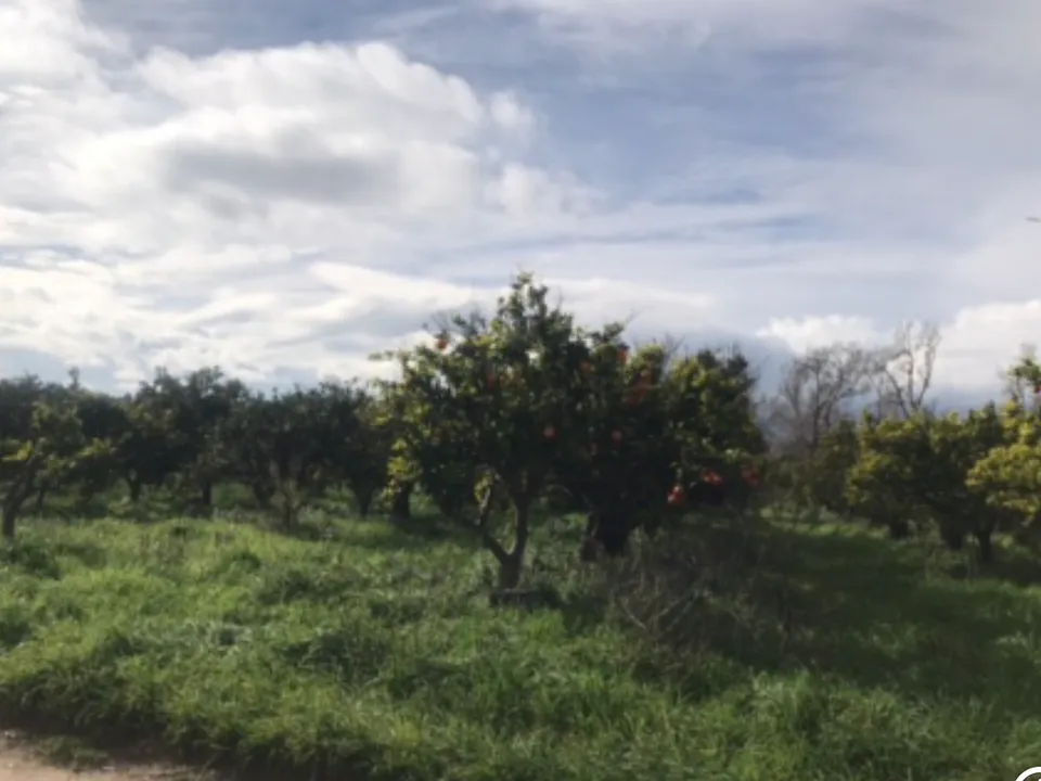 Finca i Bitem, Tarragona - bilde 4