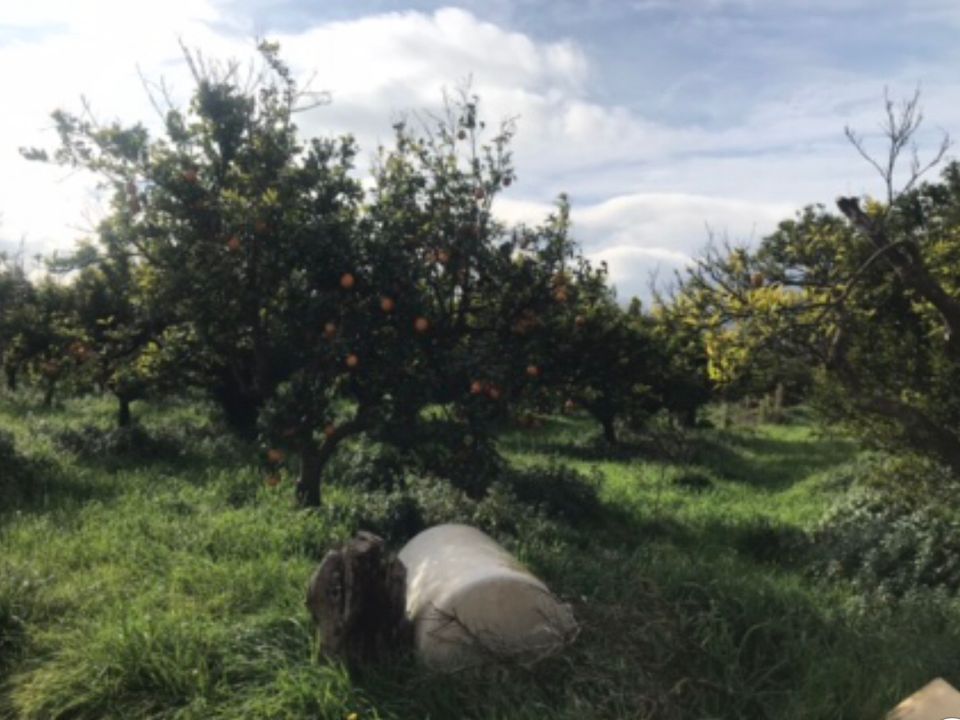 Finca i Bitem, Tarragona - bilde 3