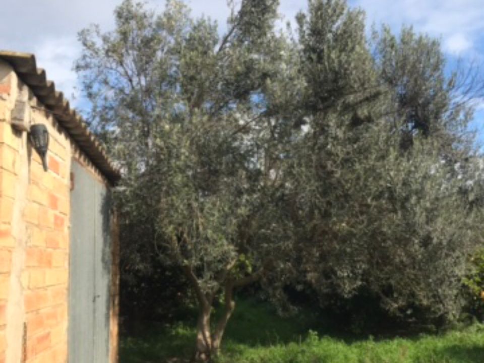 Finca i Bitem, Tarragona - bilde 2