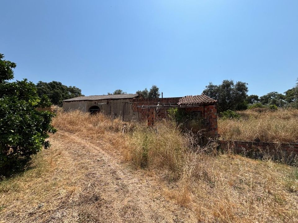 Villa i Carregueira, Santarem - foto 2