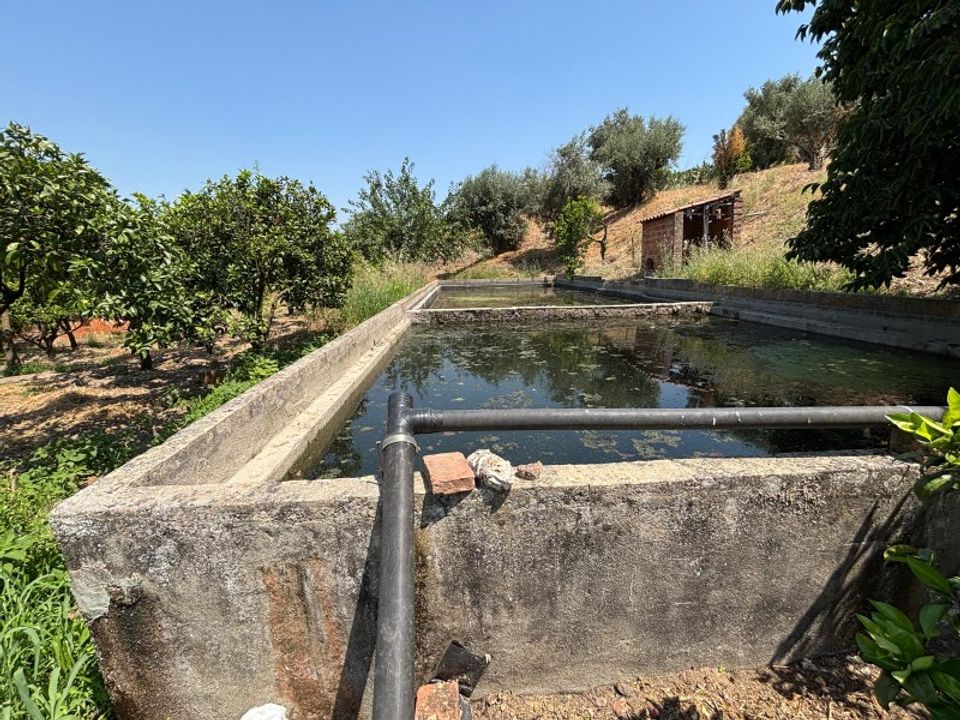 Villa i Carregueira, Santarem - foto 4