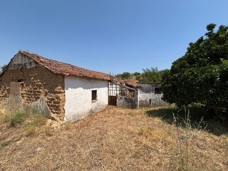 Villa i Carregueira, Santarem - foto 5