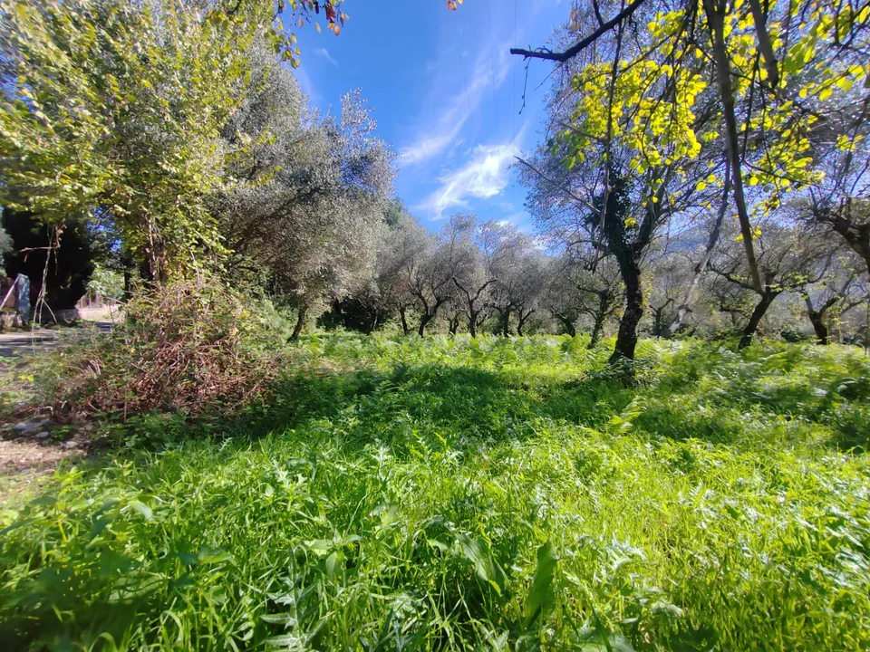Helårsgrund i Maenza, Latina - foto 5