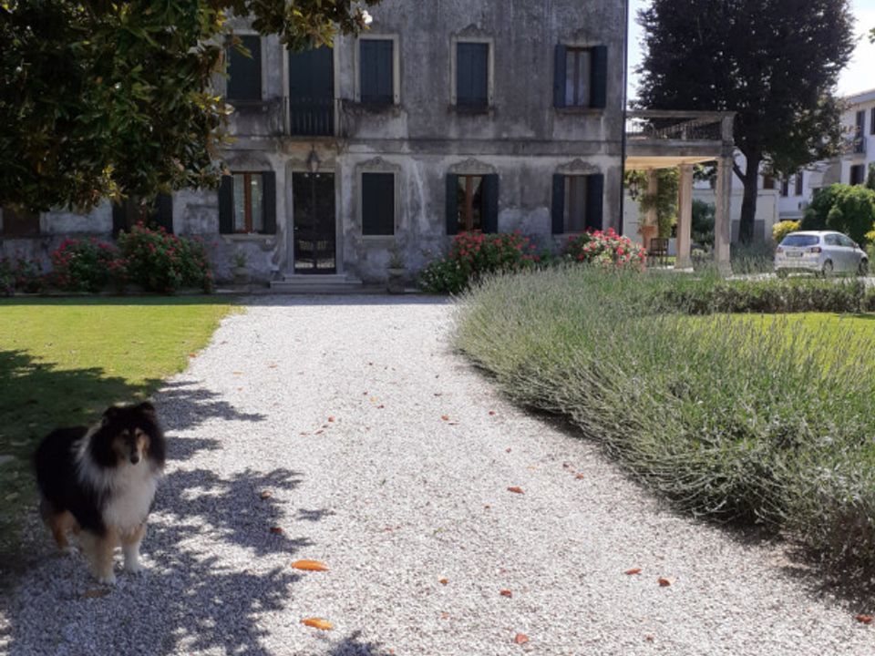 Villa i Mira, Venice - foto 1