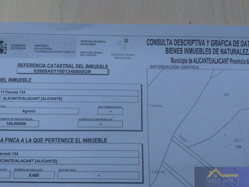 Helårsgrund i San Vicente Del Raspeig, Alicante - foto 5