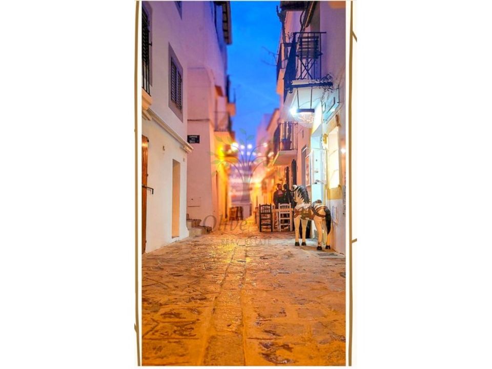 Erhvervsejendom i Ibiza, Ibiza - foto 1