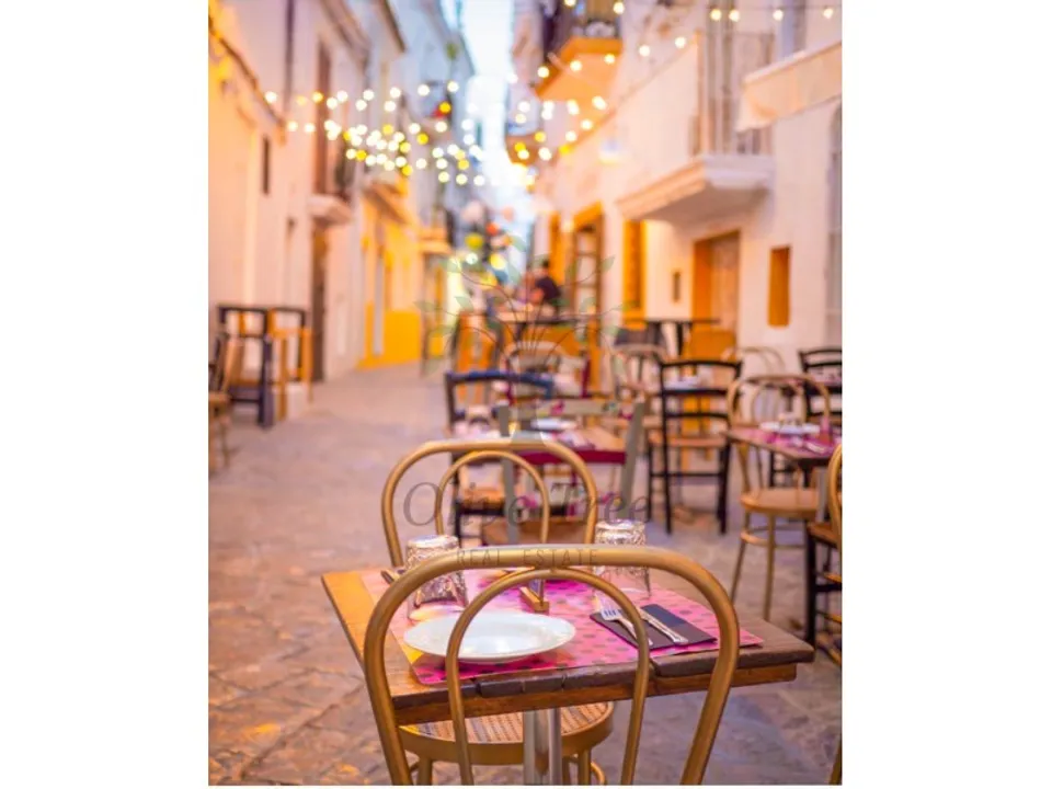 Erhvervsejendom i Ibiza, Ibiza - foto 2