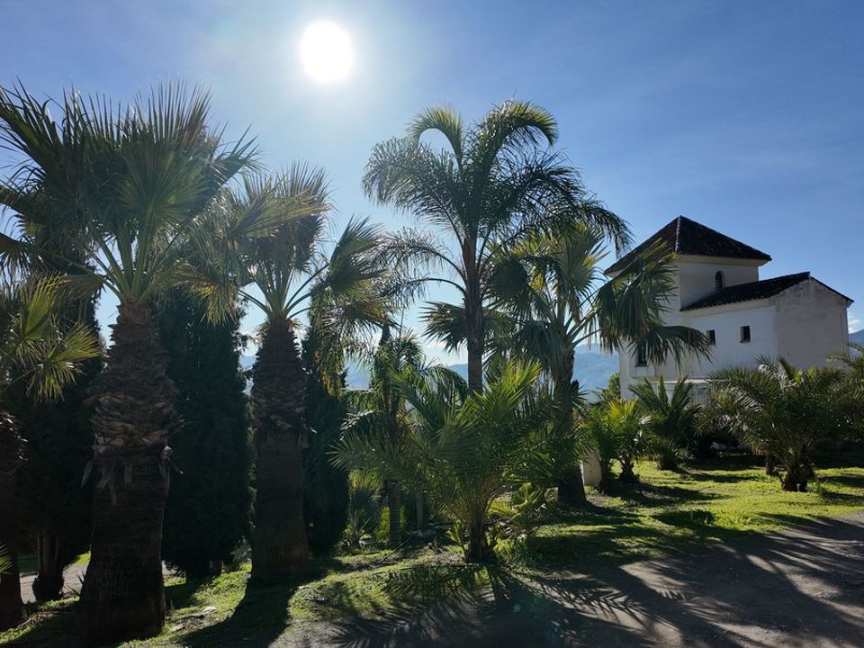 Erhvervsejendom i Tolox, Malaga - foto 2