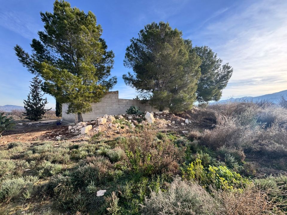 Helårsgrund i Abaran, Murcia - foto 2
