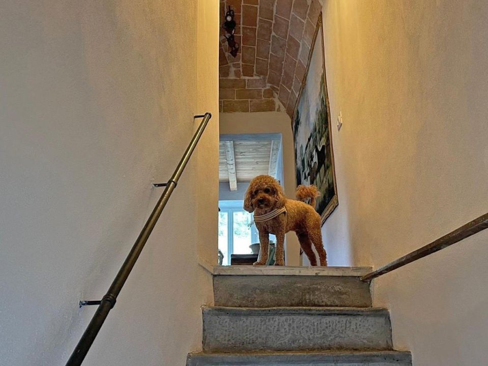 Landejendom i Bagnone, Massa and Carrara - foto 3