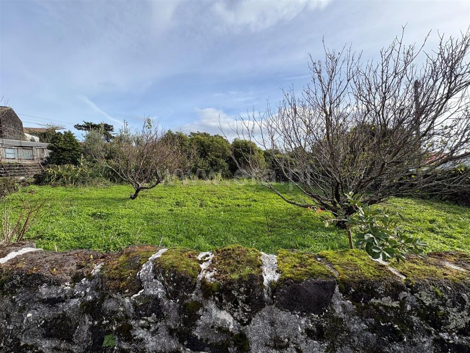 Villa i Lajes do Pico, Pico - foto 4