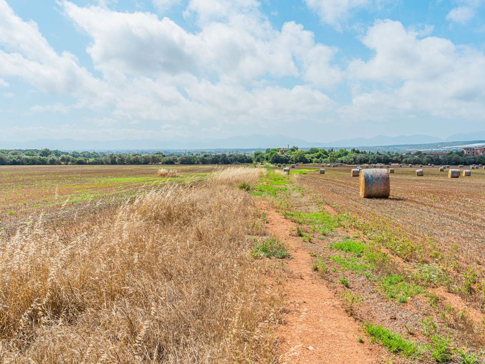 Tomt i Son Gual, Mallorca - bilde 2
