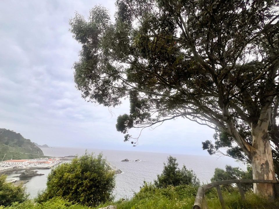 Villa i Cudillero, Asturias - bilde 4