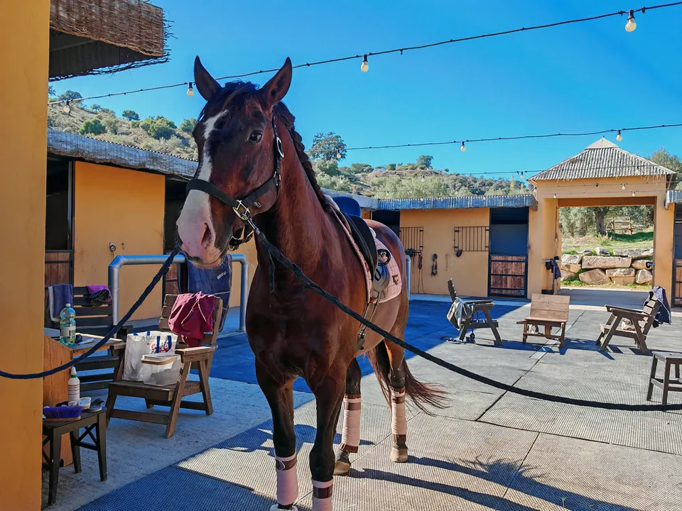 Finca i Coin, Malaga - foto 1