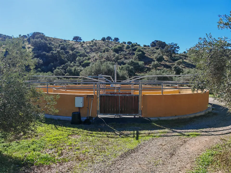Finca i Coin, Malaga - foto 5