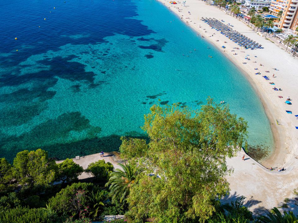 Lejlighed i Torrenova, Mallorca - foto 3
