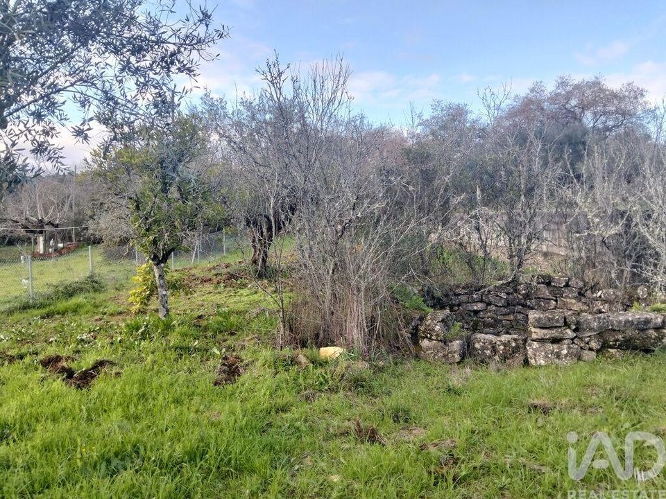 Helårsgrund i Ferreira do Zezere, Santarem - foto 1