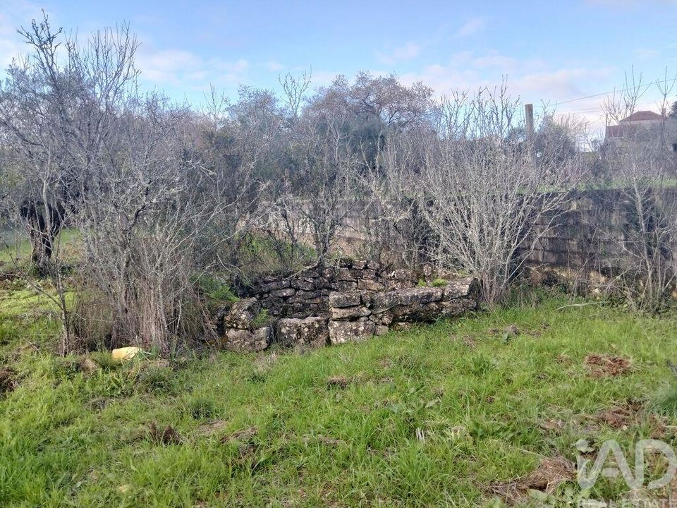 Helårsgrund i Ferreira do Zezere, Santarem - foto 2