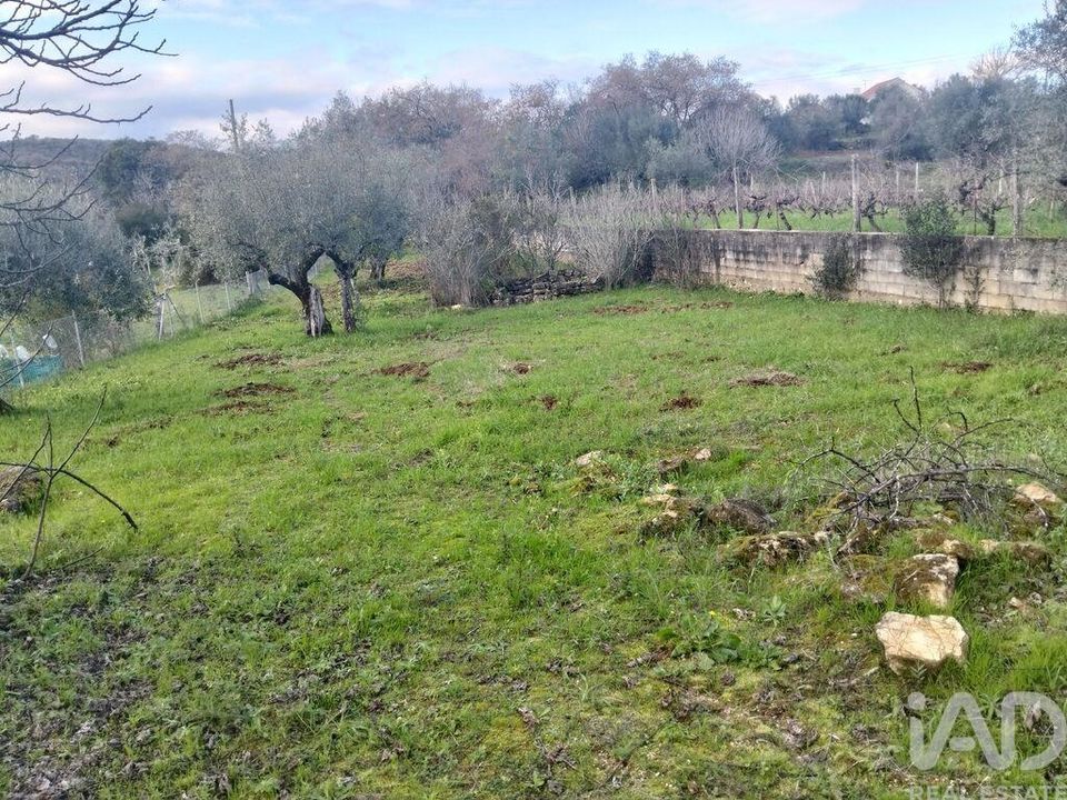 Helårsgrund i Ferreira do Zezere, Santarem - foto 3