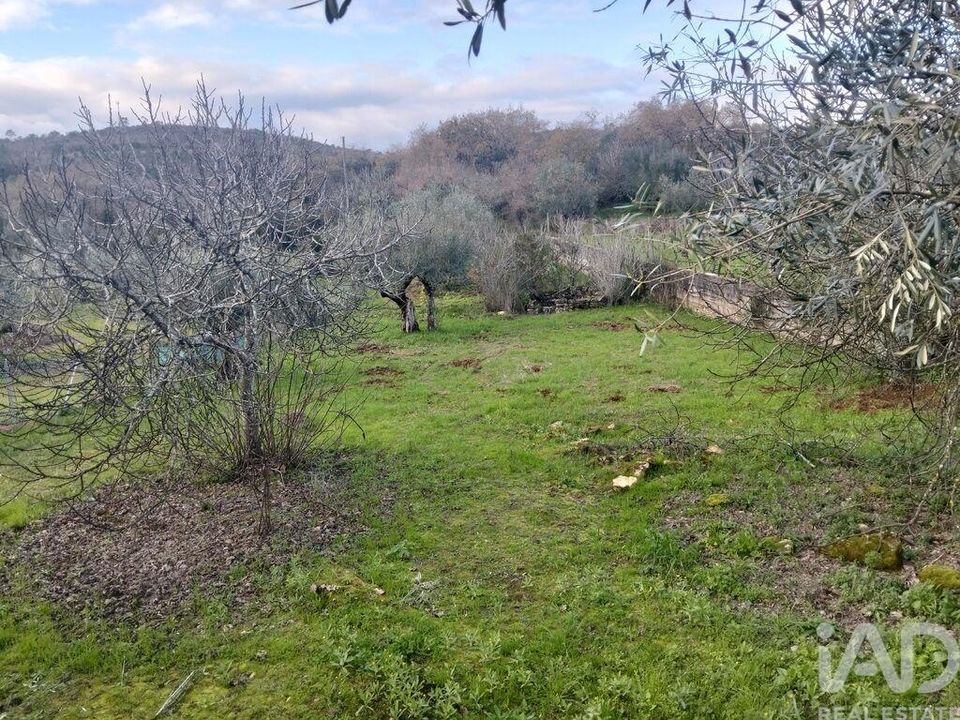 Helårsgrund i Ferreira do Zezere, Santarem - foto 4