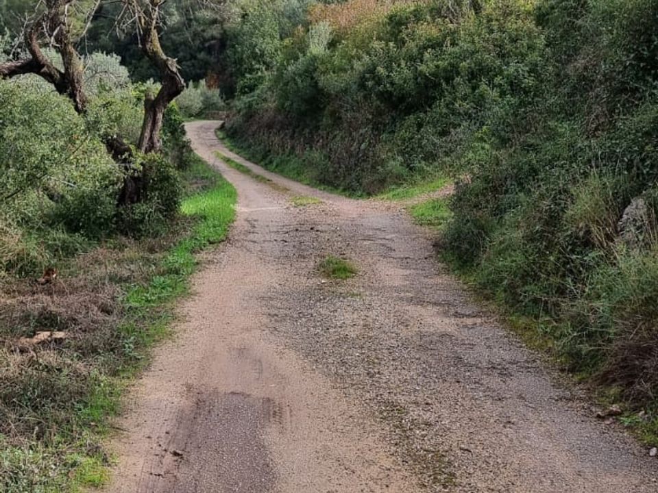 Finca i Benifallet, Tarragona - foto 4