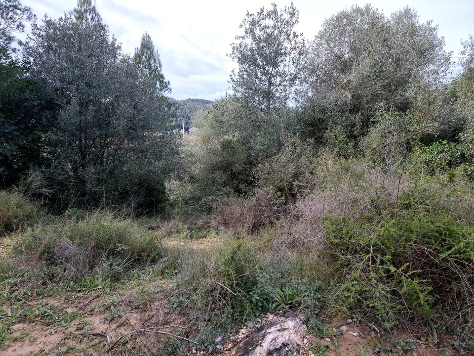Finca i Benifallet, Tarragona - foto 5
