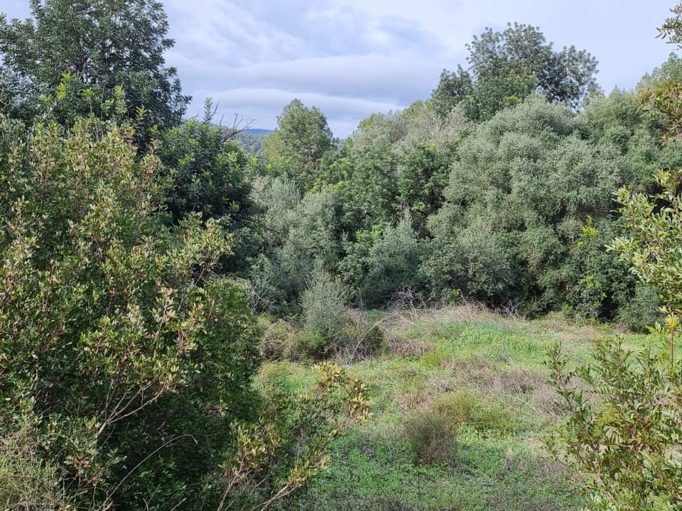 Finca i Benifallet, Tarragona - foto 1