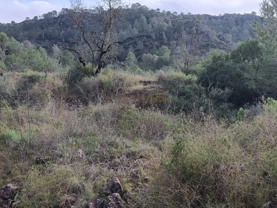 Finca i Benifallet, Tarragona - foto 2