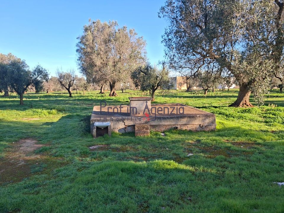 Villa i San Michele Salentino, Brindisi - foto 4