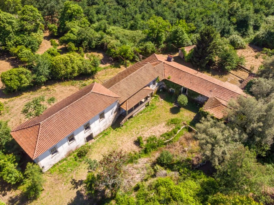 Farm i Guimaraes, Braga - foto 2