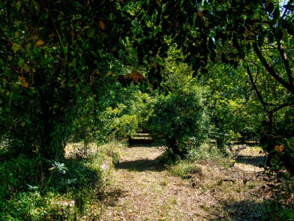 Farm i Guimaraes, Braga - foto 5