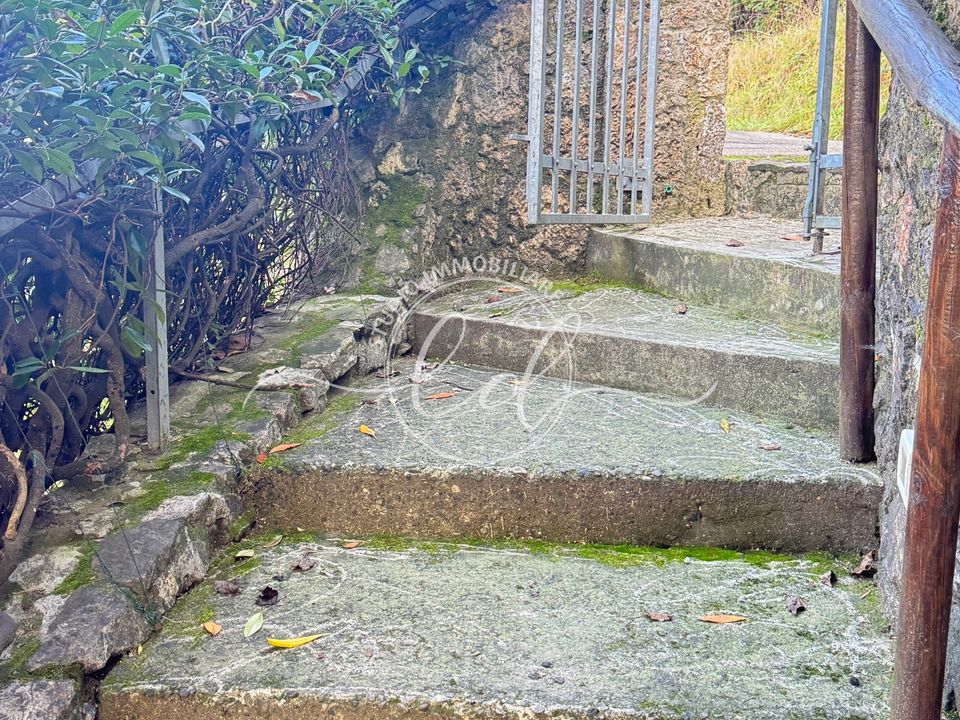 Villa i Massarosa, Lucca - foto 2
